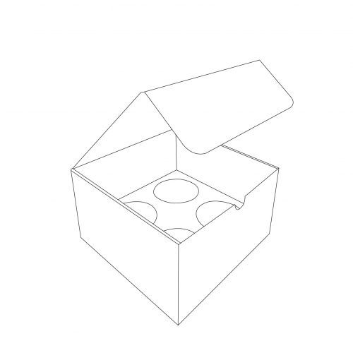 Cardboard box display with 4 round inserts and cover - outline